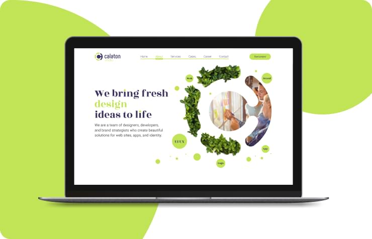 Calaton Studio web solutions