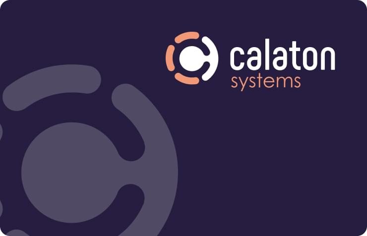 case Calaton Systems Brand Identity