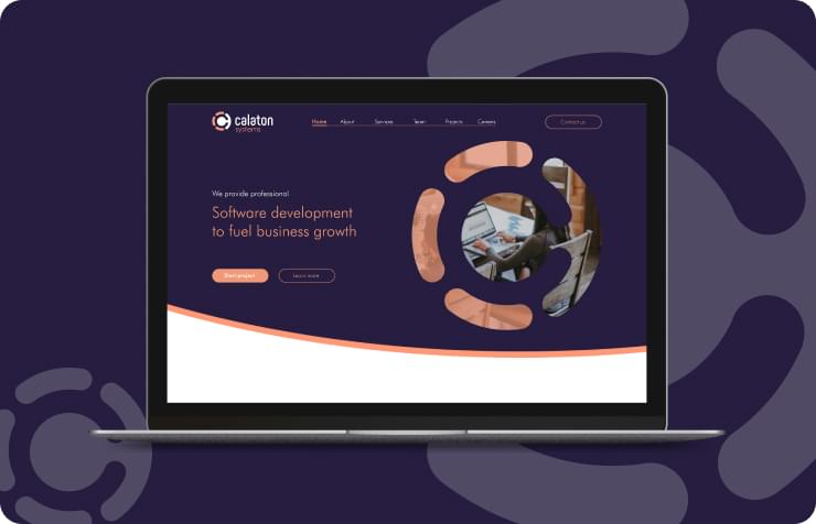 Calaton Systems web solutions